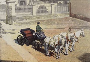 Trojka barn af European Photographer